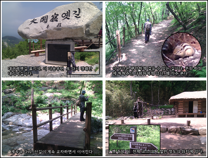 IMG0004.png