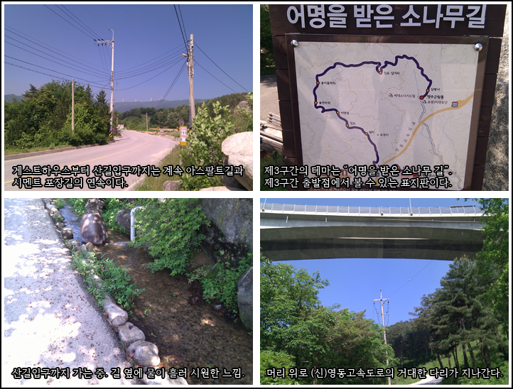 IMG0008.png