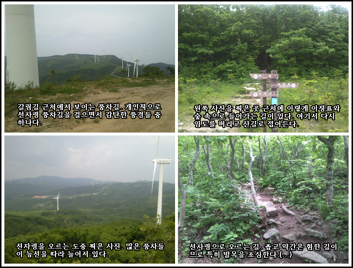 C1_0004.png